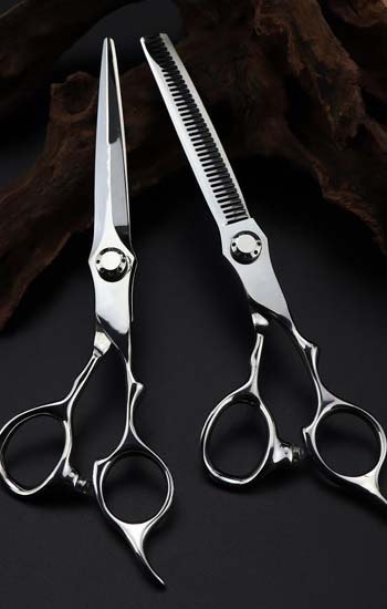 Professional Hair Scissors